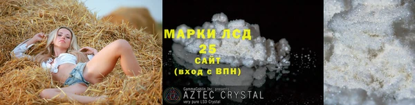 СК Алексин