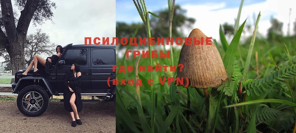 мяу мяу мука Алзамай